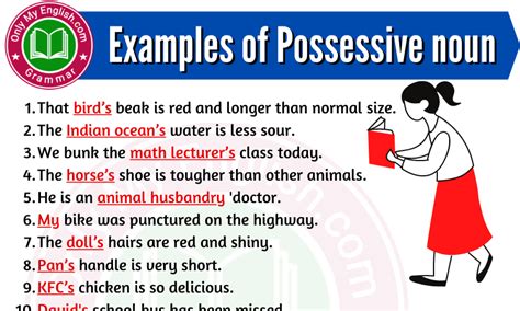 20 Examples Of Possessive Noun