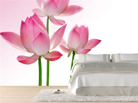 Beautiful Lotus Wall Mural Cheap Wall Murals Wall Murals Mural