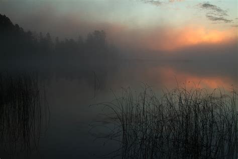 Golden-Eye Nature Photo Of The Day: Foggy Lake Sunrise