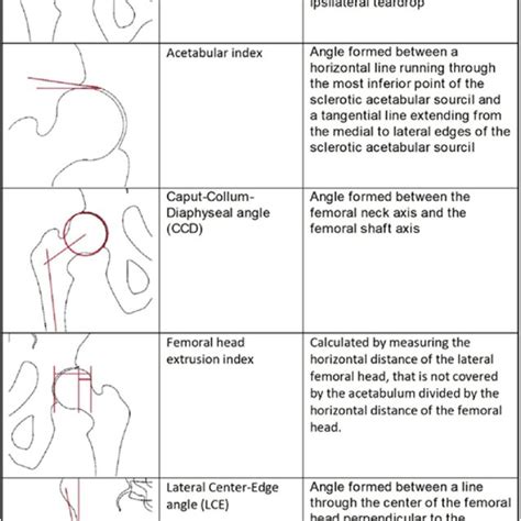 Radiographic Measurement For The Evaluation Of The Hip Morphology Used Download Scientific