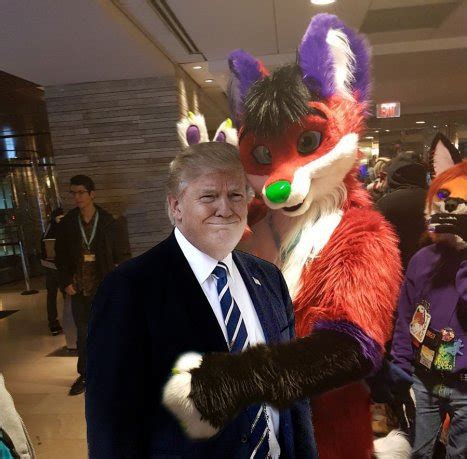 Cursed Furry Images Dank Memes Amino