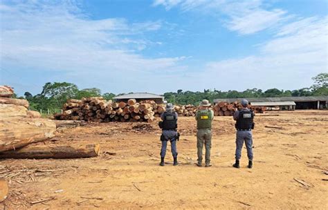 Sema MT Identifica Fraude Em Plano De Manejo E Apreende 1 8 Mil Metros