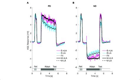 Consequences Of Motion Adaptation For The HSE Cell And The Adaptive