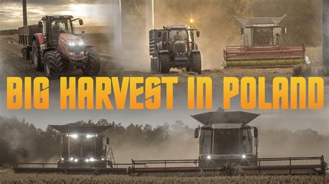 Wielkie Żniwa Pszenicy na 3 KombajnyBIG Harvest In Poland 2023