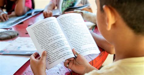 Casi La Mitad De Los Alumnos No Alcanza El Nivel Mínimo En Lectura Y