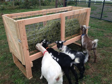 Rebar Goat Hay Feeder Bgjery