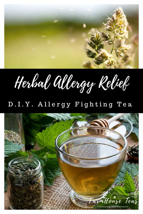 Medicinal Herbs For Allergies St Fiacres Farm Herbs For Allergies