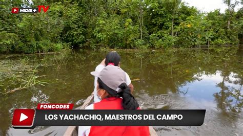 Midis Tv Yachachiq Maestros Del Campo Del Proy Haku