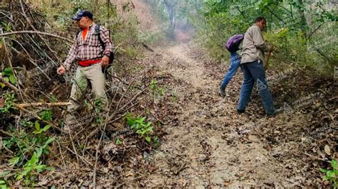 Incendio Forestal En Dipilto Ocasiona La Muerte De Una Persona