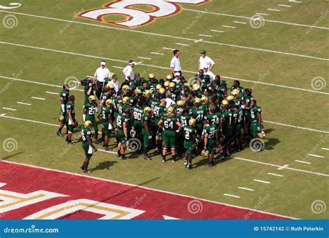 USF Bulls editorial photography. Image of division, south - 15742142