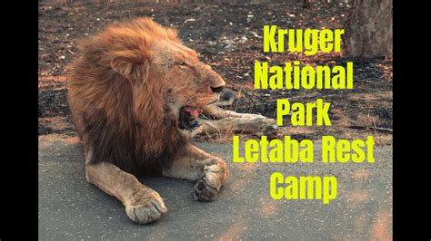 Kruger National Park In September Letaba Rest Camp YouTube