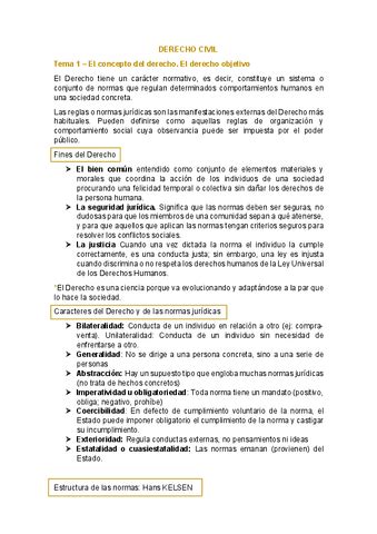 Temas Derecho Civil Pdf