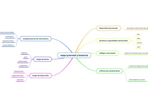 Etapa Prenatal Y Lactancia Mind Map