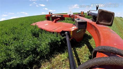 Mowing First Cut Alfalfa Youtube