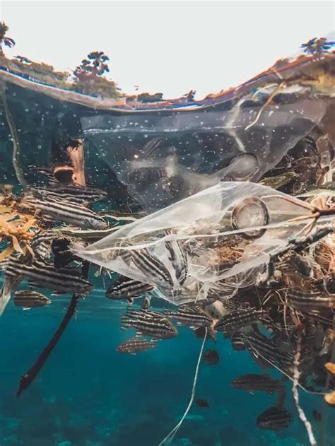 Indonesia Menempati Peringkat 5 Penyumbang Sampah Laut Terbanyak Di