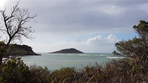 Tomahawk Beach - Morgan Esplanade, Tomahawk TAS 7262, Australia