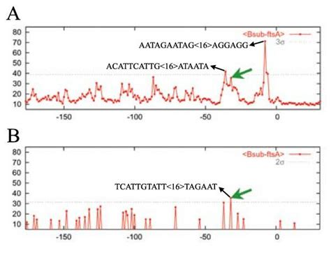 The Application Of A Simple Sequence Dependent Filter And The