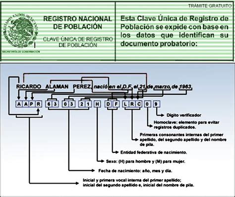 Qu Es La Curp Y Donde La Puedo Tramitar Factura Blog