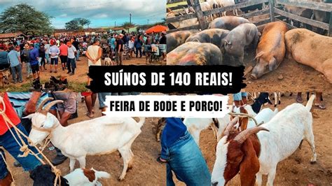 FEIRA DO BODE E PORCO DE CARUARU PE 02 07 2024 SÓ OS MELHORES