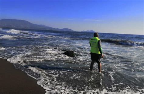 Libres De Bacterias Playas Michoacanas Sistema Michoacano De Radio Y