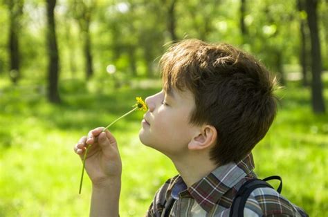 Muchacho Adolescente Disfrutando De La Naturaleza En El Parque De Primavera Joven Feliz Sobre