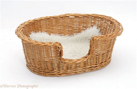 Wicker cat basket photo WP20288