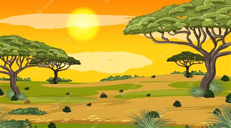 African Savanna forest landscape scene at day time illustration - Clip Art Library