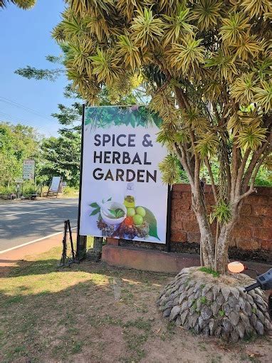 Spice And Herbal Garden Bentota Attractions In Galle Ceylon Pages