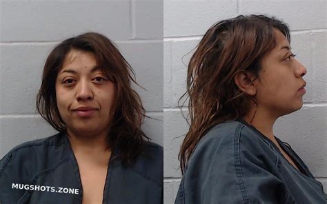 Cortez Cristina Sarai 01192024 Hays County Mugshots Zone