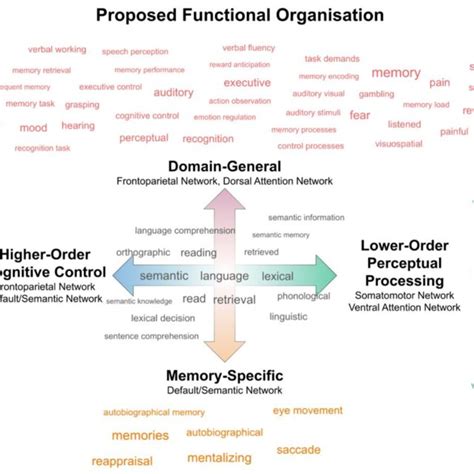 Schematic Representation Of The Proposed Functional Organisation Of The