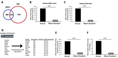 IJMS Free Full Text GPR19 Coordinates Multiple Molecular Aspects Of