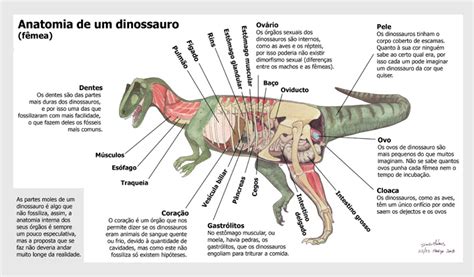 Reptossaurus Anatomia E Evolu O Dos Dinossauros