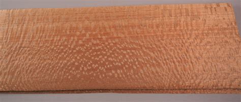 Qld Silky Oak Timber Veneer So 14 G6 Australian Premier Veneers