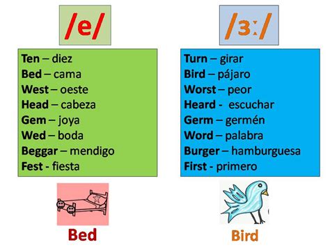 Clases De Ingles Basico La Vocal E Y Sus Sonidos En Ingles Vowel E In English