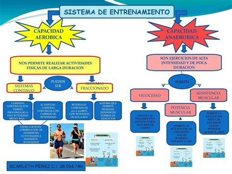 Sistema De Entrenamiento Deportivo Lorimar