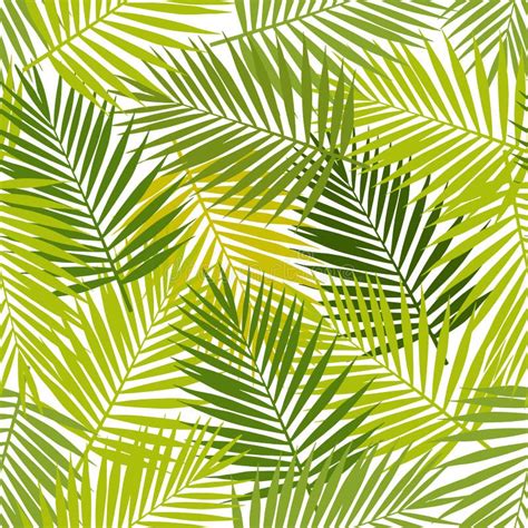 Palm Leaf And Monstera Silhouettes Seamless Pattern Tropical Leaves