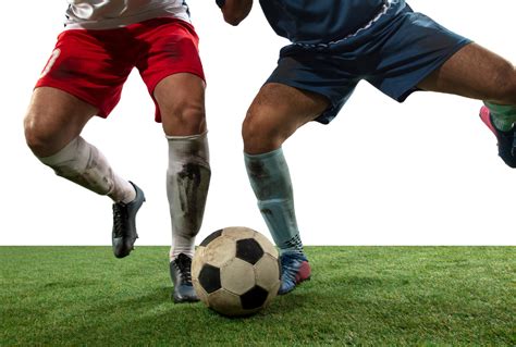 Top 10 Football Socks Market Research Intellect