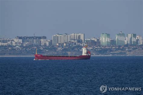 우크라 러시아군 위협에도 생명선 흑해항로 복원 성공 한국경제