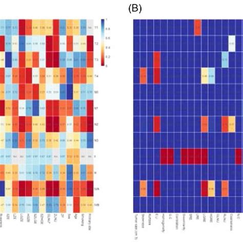 Color Online Heat Map Of Spearmans Correlation Analysis Between Download Scientific Diagram