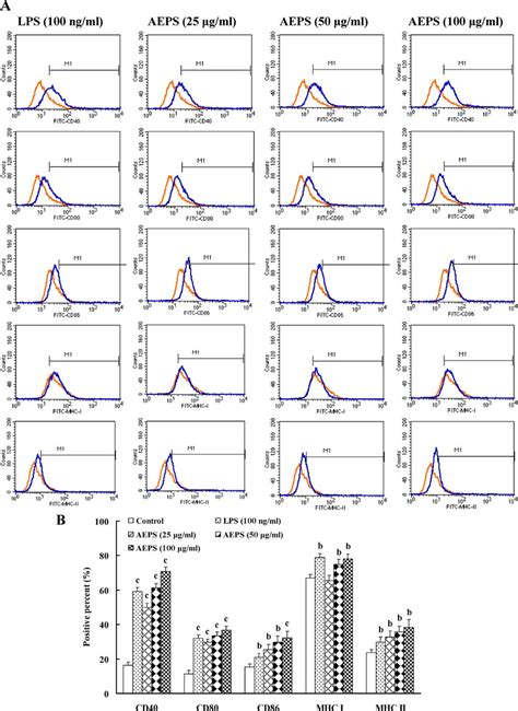 Effect Of The Polysaccharide From The Roots Of Actinidia Eriantha