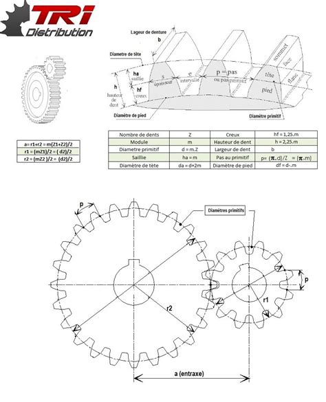 ENGRENAGE MODULE 3 Sans Moyeu