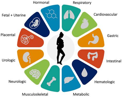 Major Organ Systems Affected By Pregnancy Download Scientific Diagram