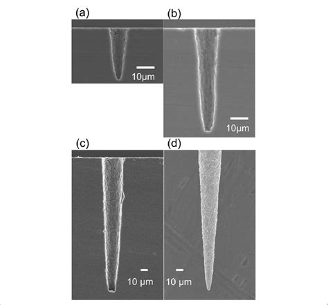 Cross Sectional SEM Micrographs Of The Micro Holes With Different