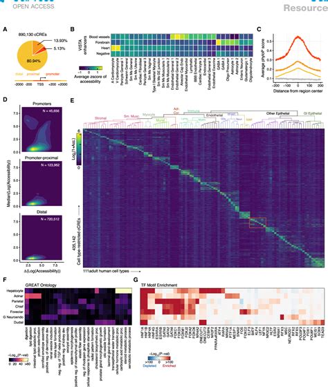 Figure 2 From A Single Cell Atlas Of Chromatin Accessibility In The