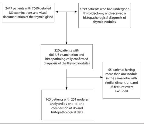 Figure From Diagnostic Performance Rates Of The Acr Tirads And Eu