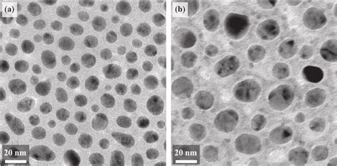 Bright Fi Eld TEM Plan View Images Of The Obtained Plasmonic