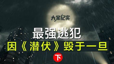 中国刑事大案纪实 刑事案件要案记录【最强逃犯：潜逃13年拍60部剧获最佳男配，因《潜伏》毁于一旦下集）】 Youtube