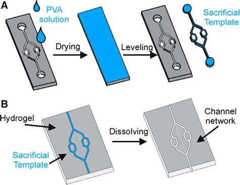 aqueous polyvinyl alcohol pva solution  cast   mold