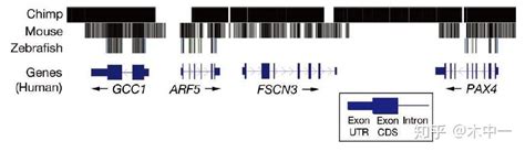 解读遗传信息之二——基因组注释 知乎