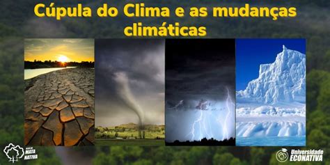 Saiba tudo sobre a cúpula do clima e as mudanças climáticas